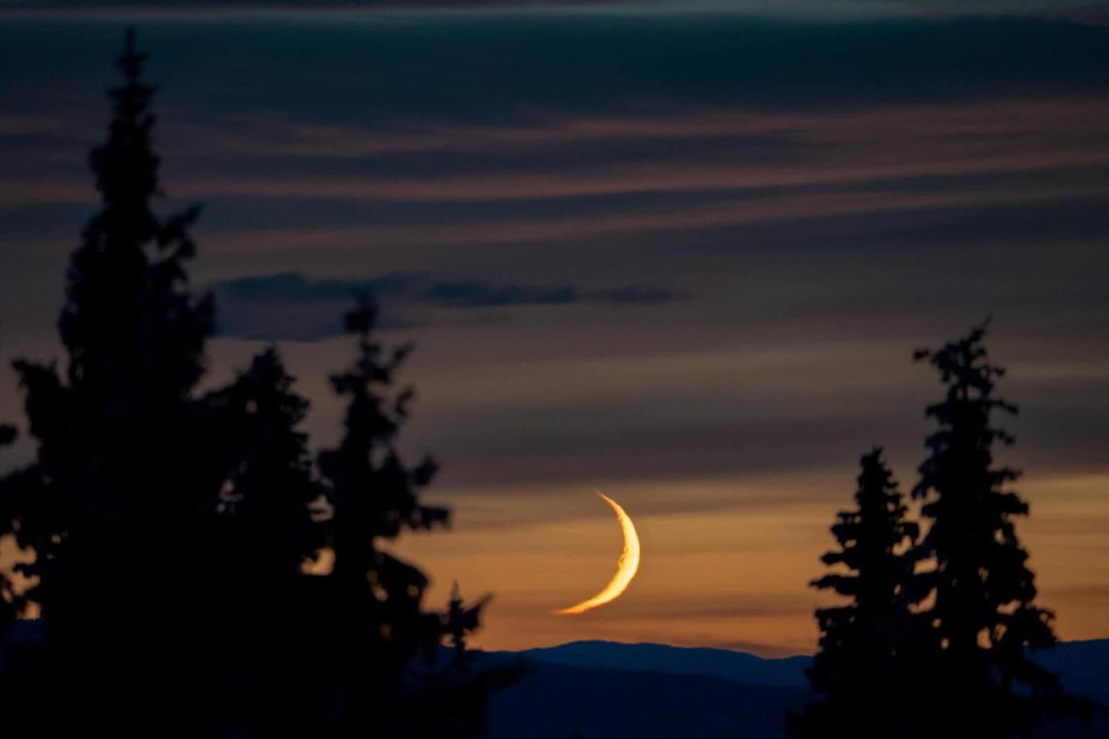 Nordseter Fjellpark, Hyttegrend エクステリア 写真
