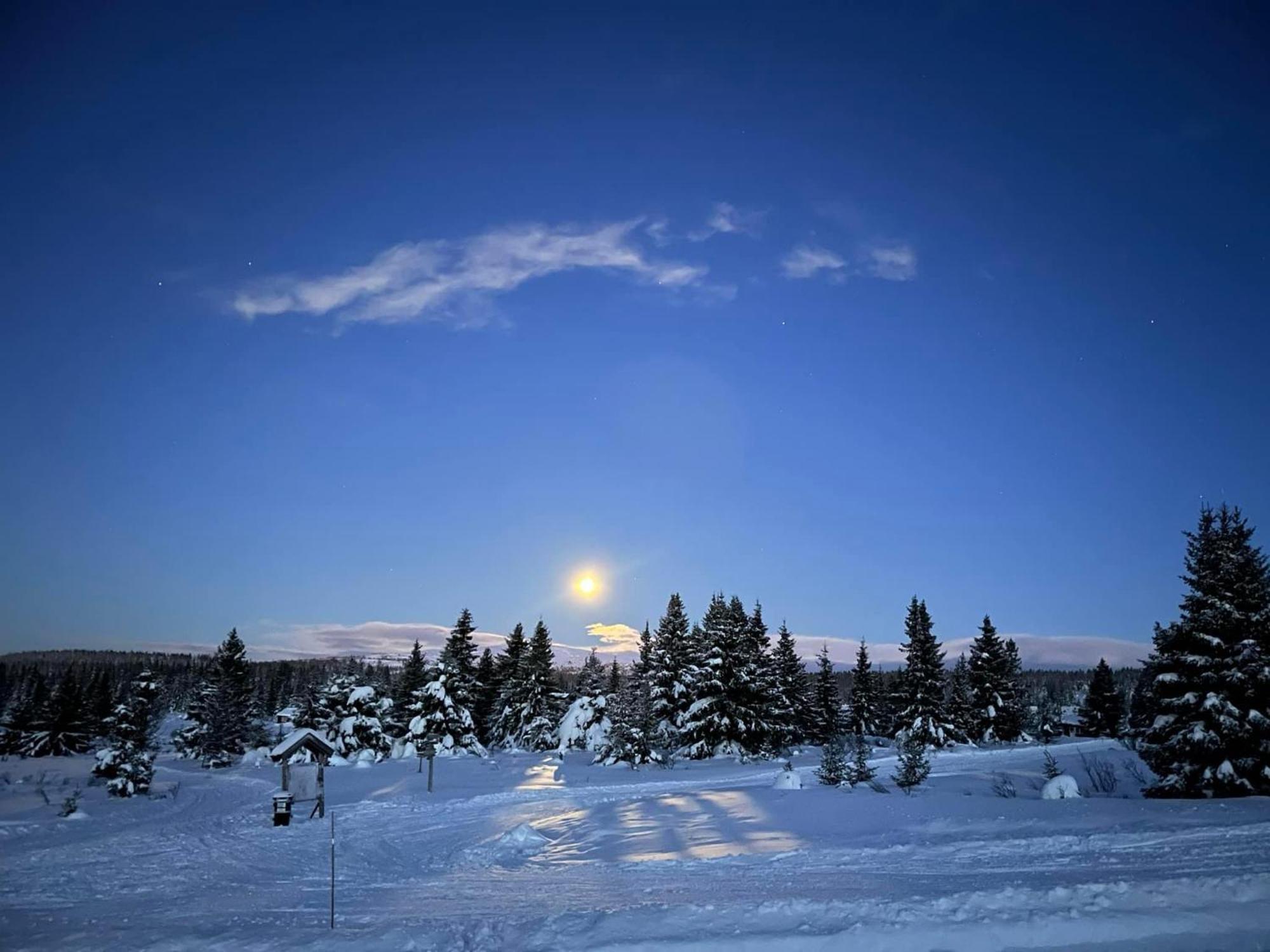 Nordseter Fjellpark, Hyttegrend エクステリア 写真